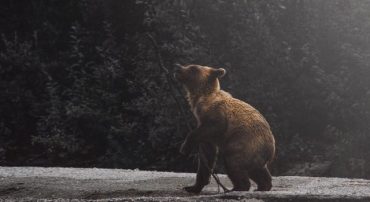 Today Was An Intraday Bear Market (May 2022)