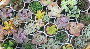 This Month, Here’s How We Tilted (June 2022)