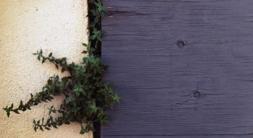 Radio: Dangers of Seeking Utopia