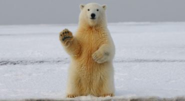 Bear Market Continues Through Third Quarter 2022