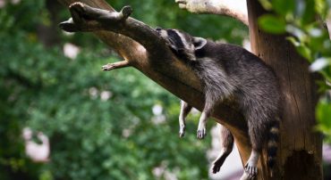 The IRS Waives 2021 & 2022 Penalties Because Its Unclear How the New Inherited IRA 10-Year Rule Works