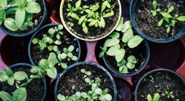 Stocks are On Sale (October 2022 Dynamic Tilt)