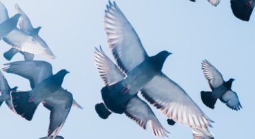 Real Return of Stocks and Bonds by Inflation Type