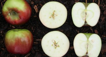 What Is A Mutual Fund Share Class Exchange?