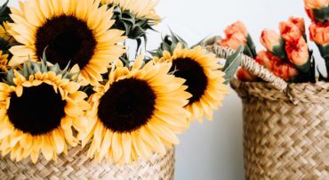 Q&A: Which Self-Employed Retirement Plan Should I Open?