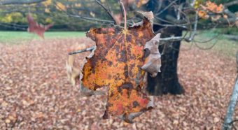 Should I Change Financial Advisors Over Poor Performance?