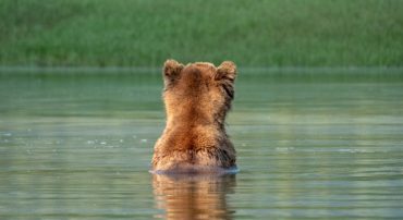 Today Was An Intraday Recovery (January 2024)