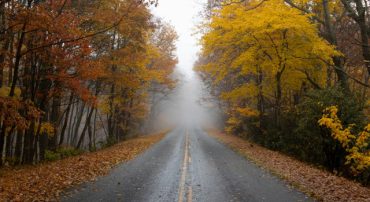 IRS Guidance on Pension-Linked Emergency Savings Account (PLESA)