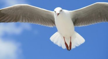 What to Expect Now That the S&P 500 Reached 5,000