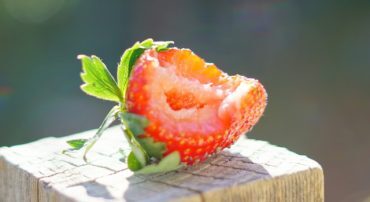 Lower Expense Ratios, Higher Returns