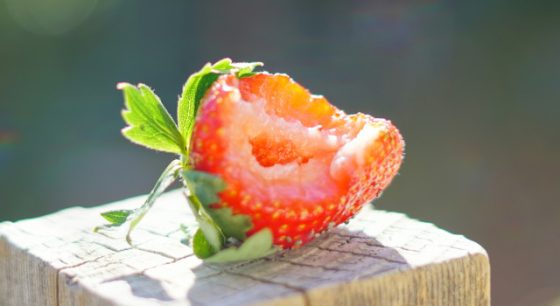 Lower Expense Ratios, Higher Returns