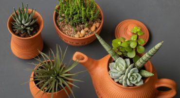 New Investor Frequently Asked Questions