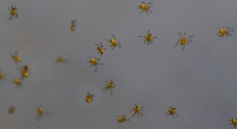 What Happens When You Don’t Pay Off Your Credit Card?