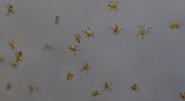 What Happens When You Don’t Pay Off Your Credit Card?