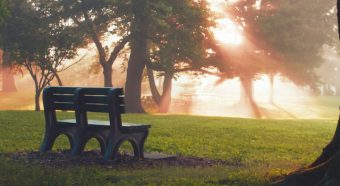 How to Obtain Your Ex-Spouse’s Social Security Statement and Full Earnings Record
