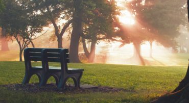How to Obtain Your Ex-Spouse’s Social Security Statement and Full Earnings Record